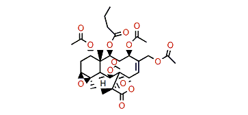 16-Acetoxystecholide A acetate